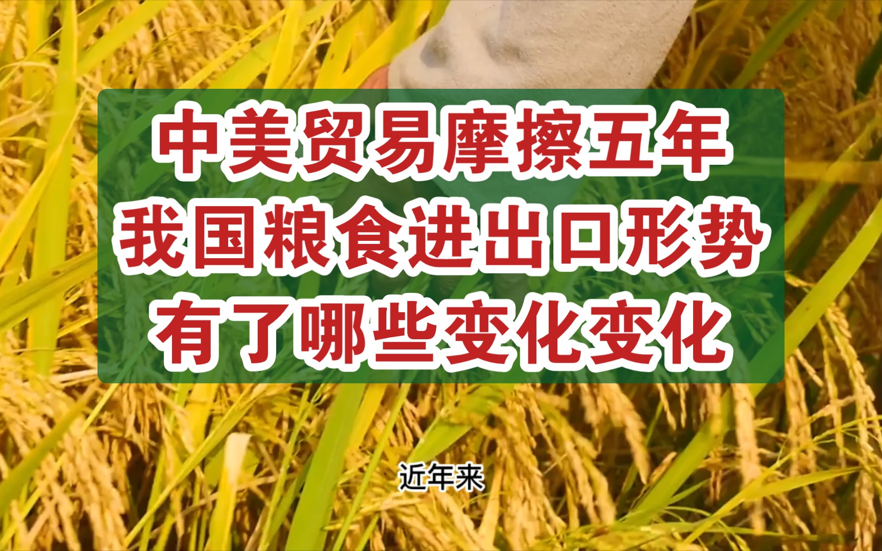 中美贸易摩擦五年后我国粮食进出口形势有了哪些变化变化:俄罗斯对我国粮食出口规模累计增幅约为60%哔哩哔哩bilibili