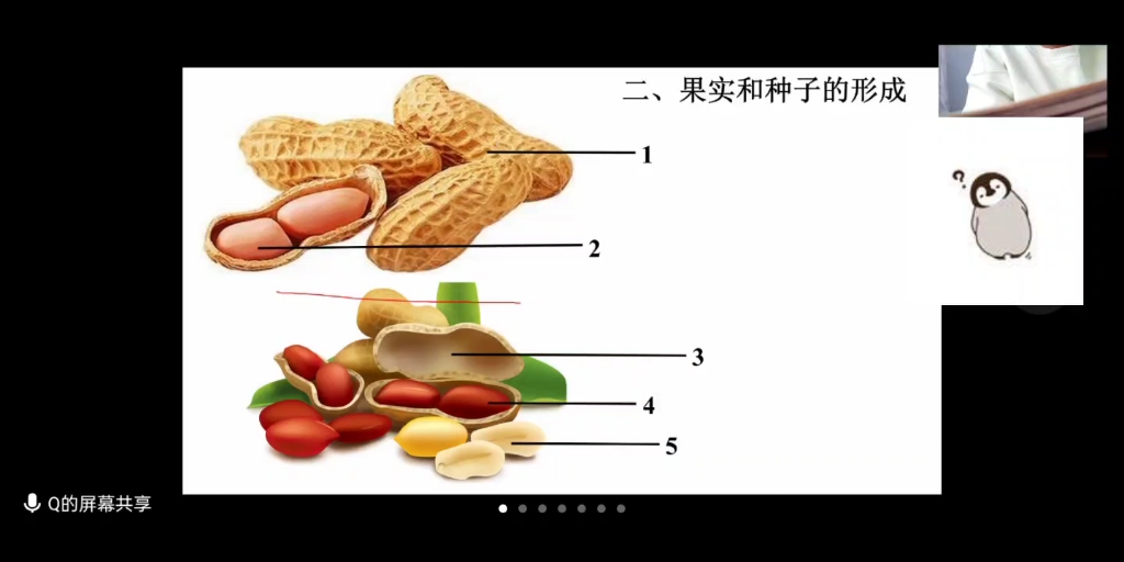 [图]《当代学生网课现状》又名网课听力十级