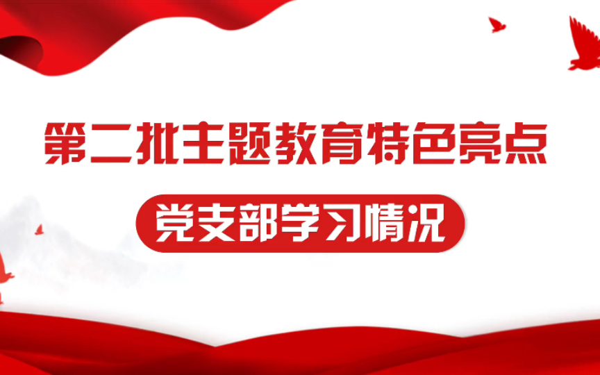 第二批主题教育亮点特色之3:基层党支部学习情况哔哩哔哩bilibili