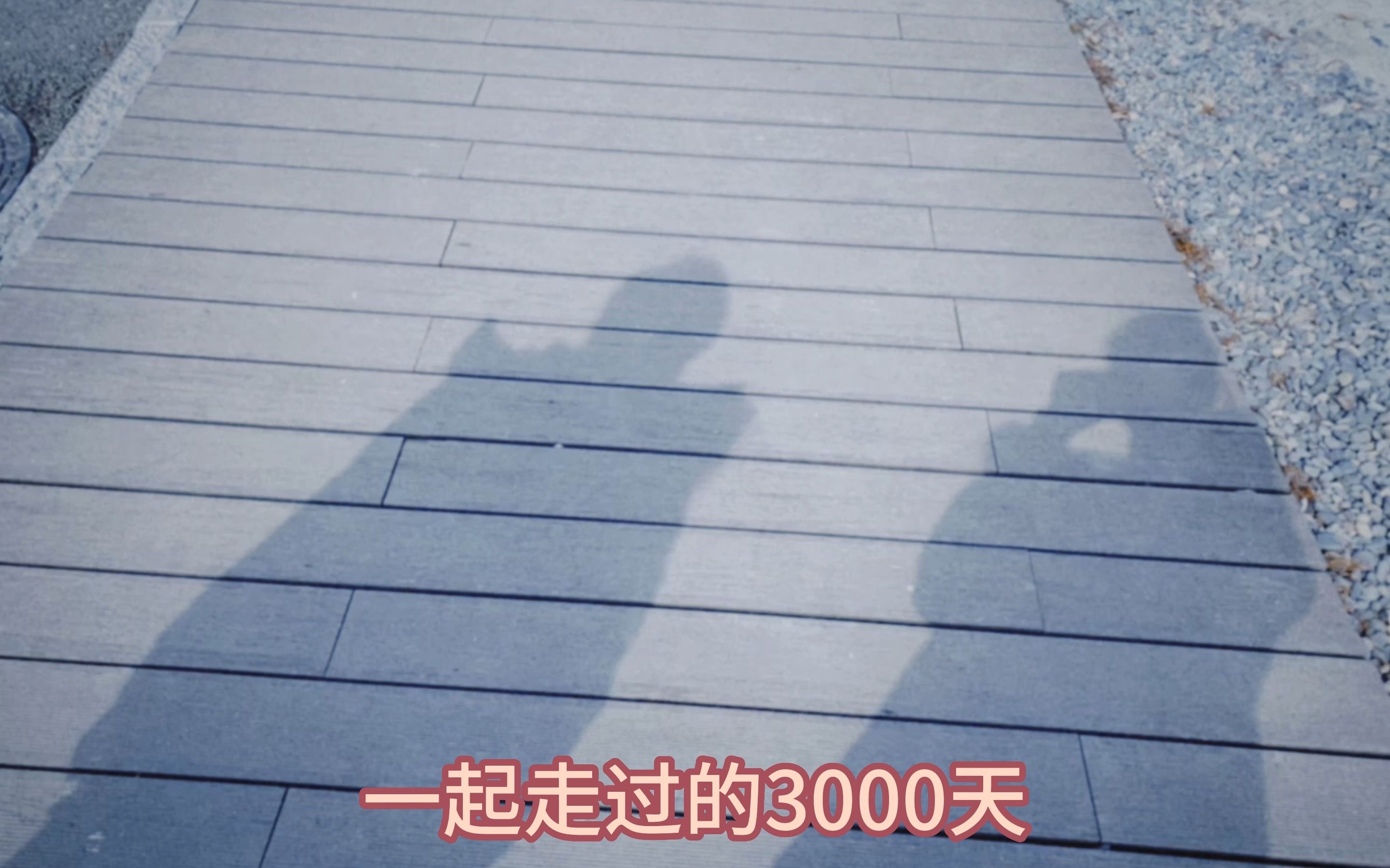 【两个女生的恋爱记录】 一起走过的3000天哔哩哔哩bilibili