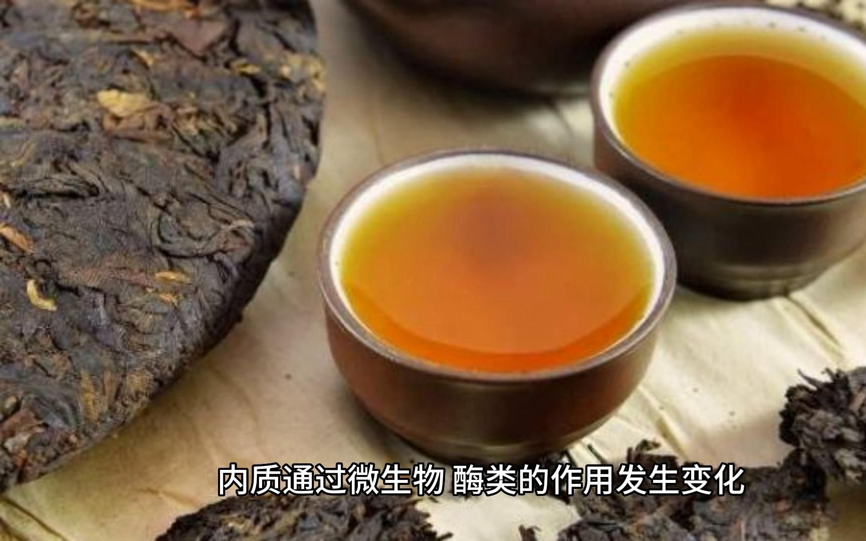 「茶文化」别样滋味的黑茶,你对它了解多少呢?哔哩哔哩bilibili