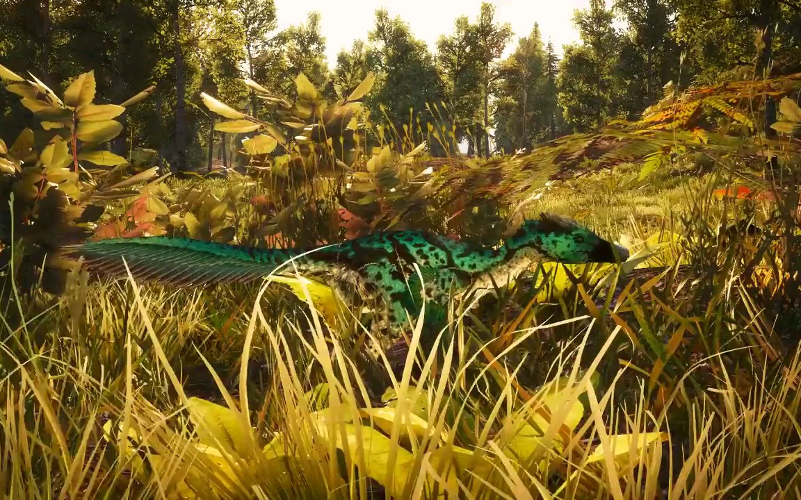 beastsofbermuda伶盗龙