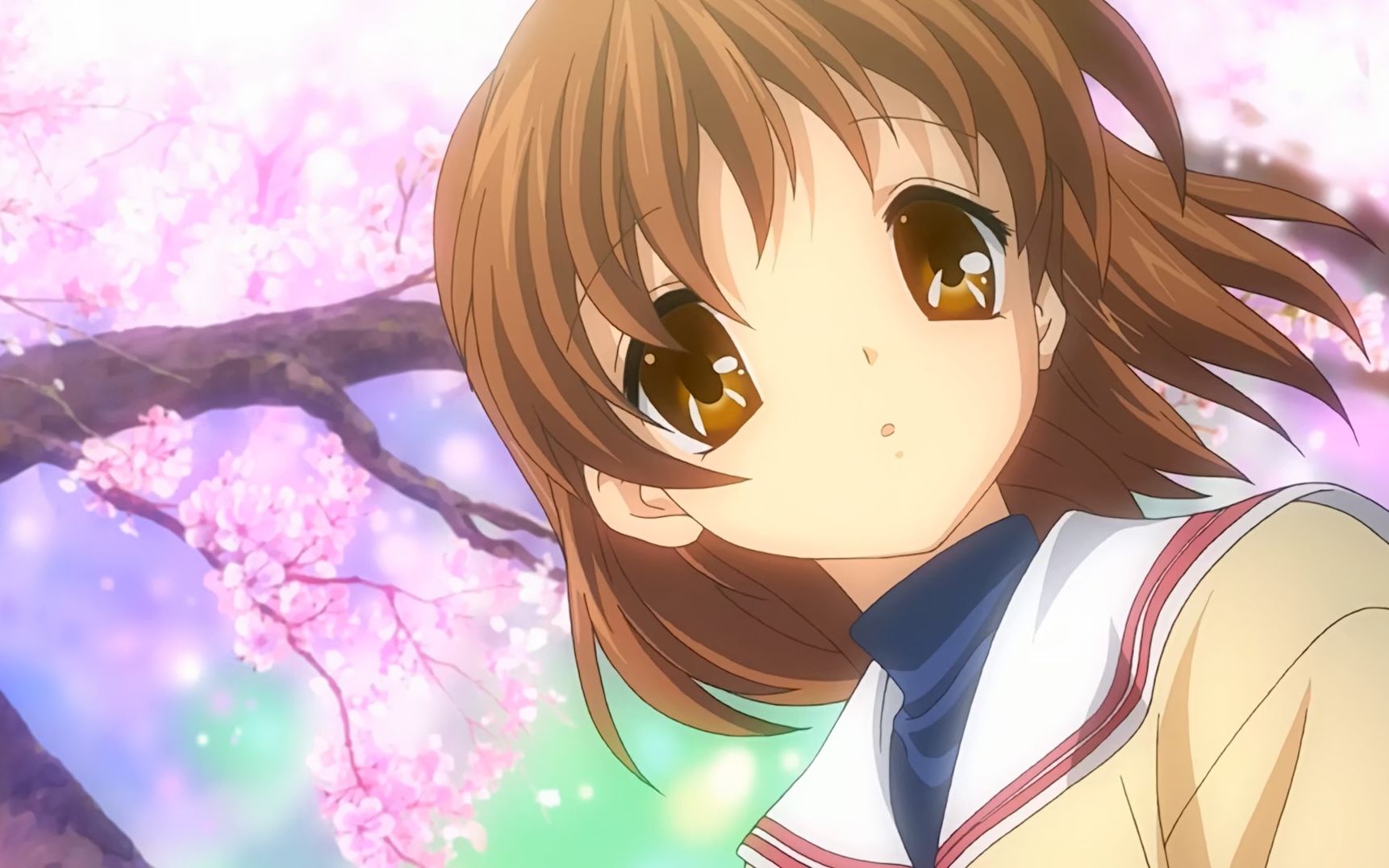 【mad|clannad】 遇见你,樱花绽放飞舞