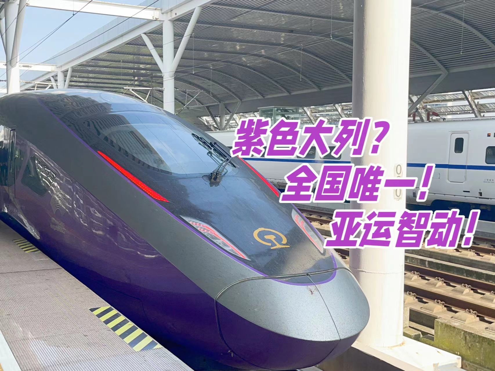 [图]「学生菌鉄道」紫色大列？全国唯一！亚运智动！亚运涂装智能动车组 CR400BF-Z-0524 润泽江南 复兴号 全体验