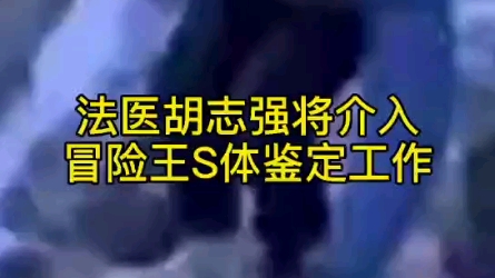 [图]法医胡志强将介入冒险王S体检鉴定工作