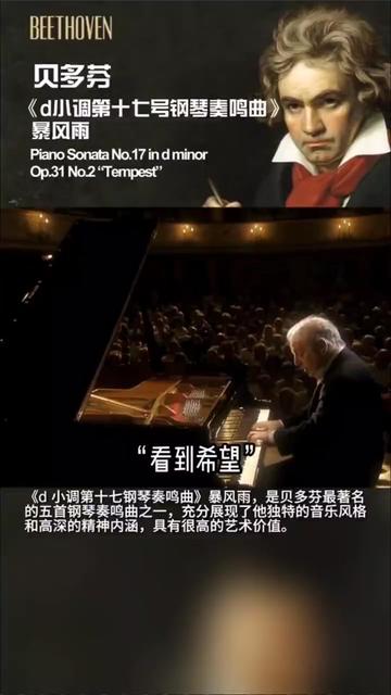 [图]🌸贝多芬《d 小调第十七号钢琴奏鸣曲》巴伦博伊姆✨🎼🎹