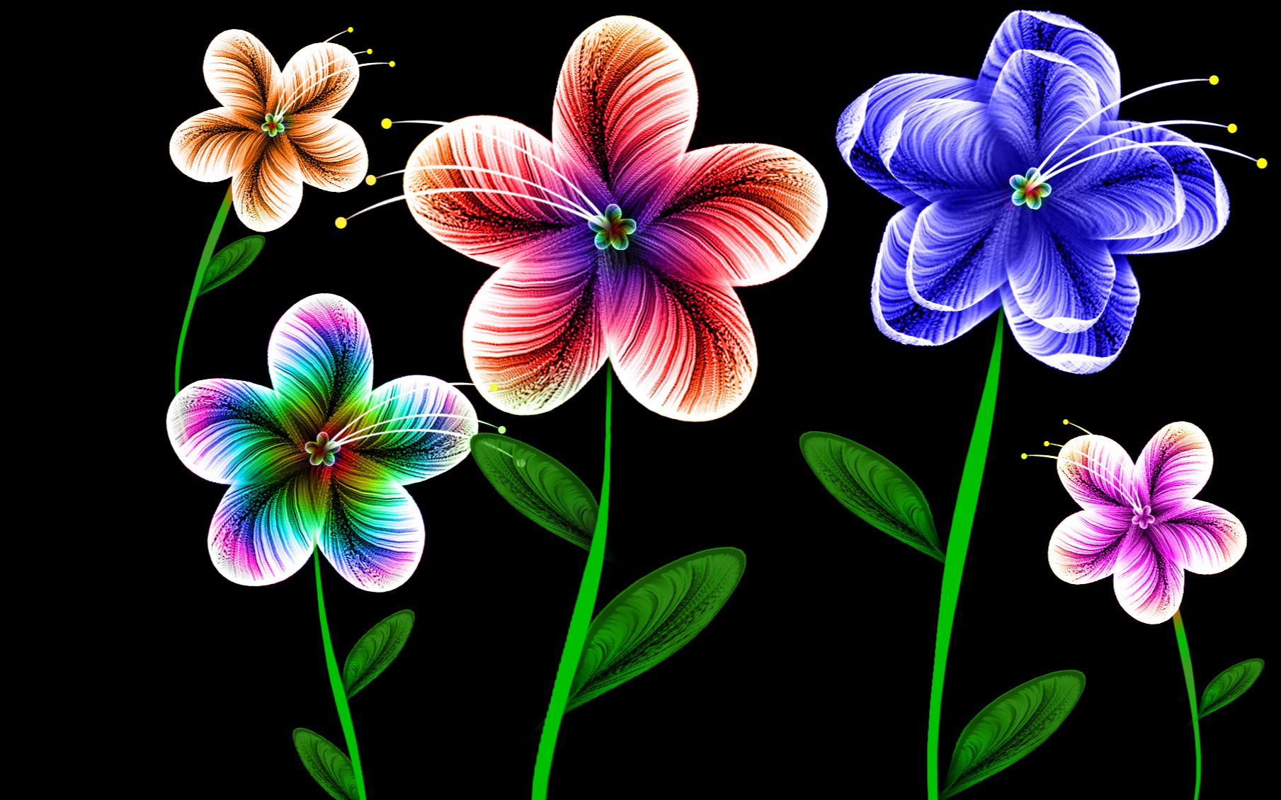 ps彩色小花制作_哔哩哔哩_bilibili