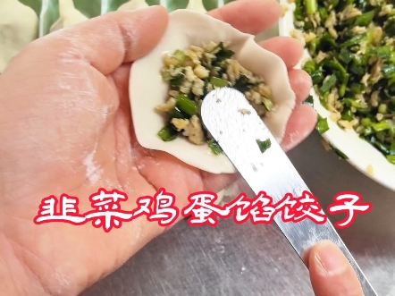 味道鲜美的韭菜鸡蛋馅饺子哔哩哔哩bilibili