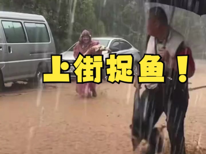 路上捉鱼!暴雨导致新北市金山区道路成河,市民上街捉鱼哔哩哔哩bilibili