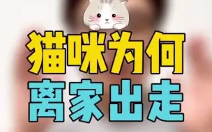 Download Video: 为什么有些猫咪离家出走之后就不再回来？最后1种原因让人心里酸酸