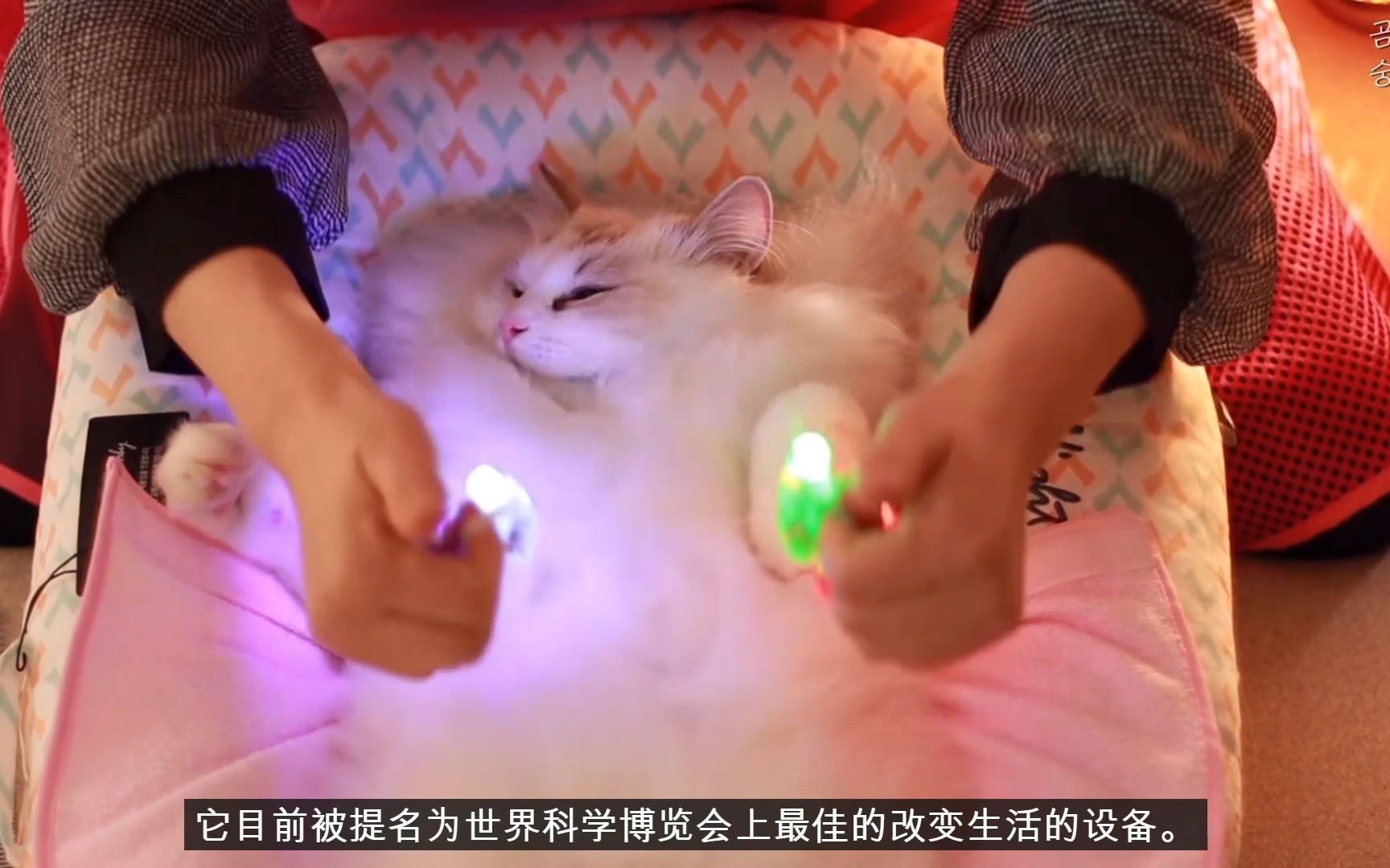 [图]【ASMR】Bear Salon-猫咪spa-助眠-机器翻译