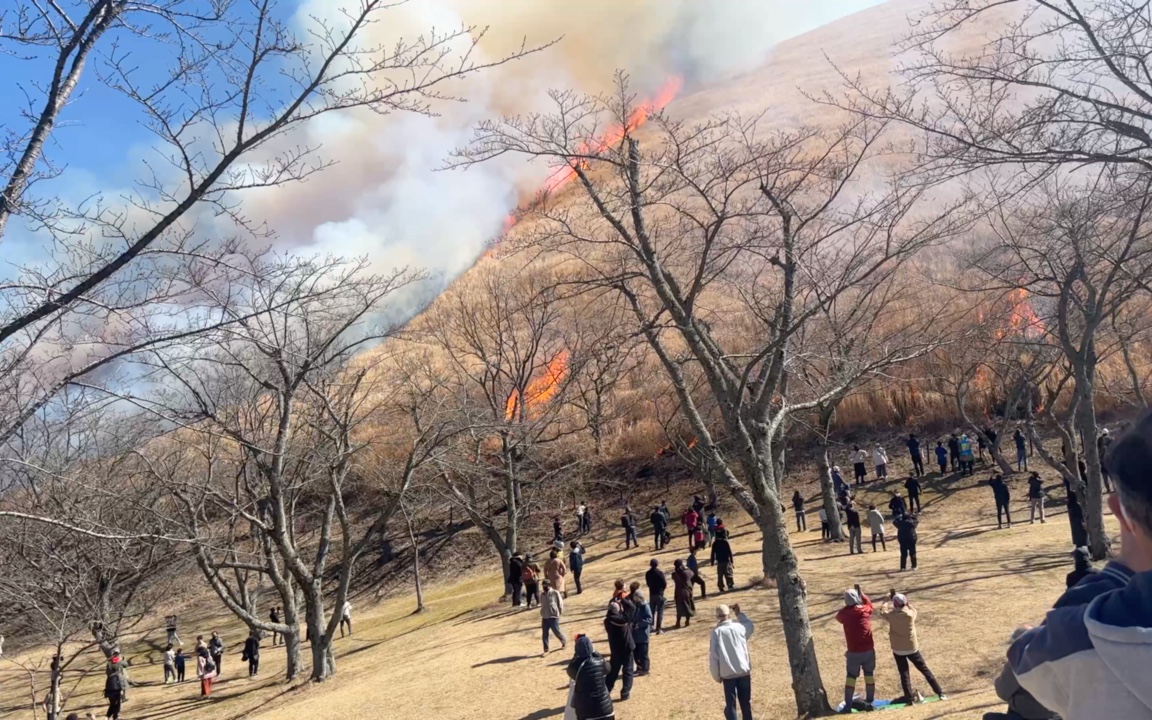 日本伊豆大室山每年的烧山仪式