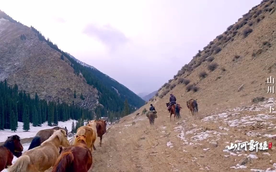 [图]壮观！哈萨克牧民冬季转场，牛羊在风雪中坚定前行 |《山河新疆》