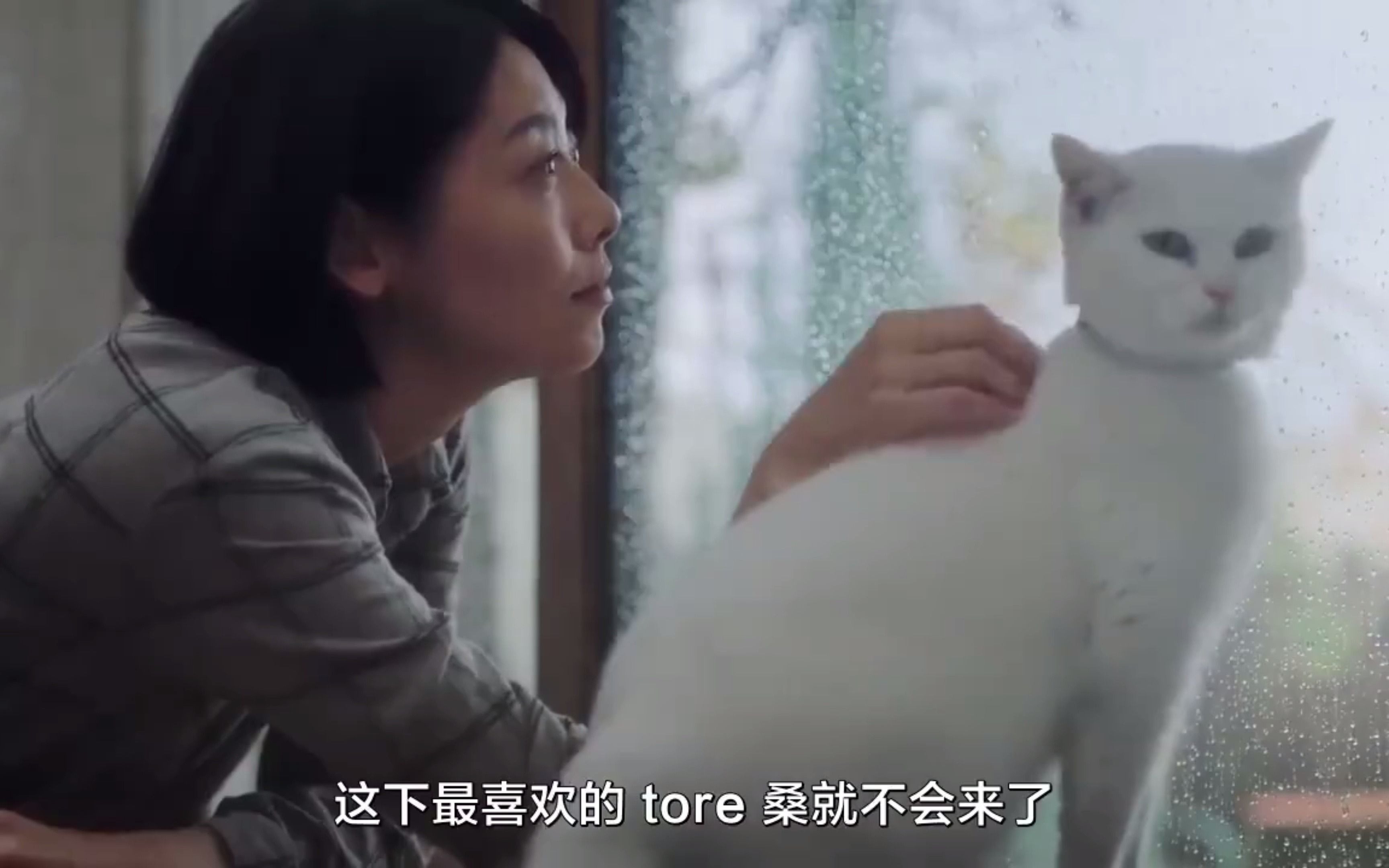 [图]这绝对是猫奴的真实写照了