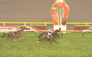 羽鳥駿太 搜索结果 哔哩哔哩 Bilibili