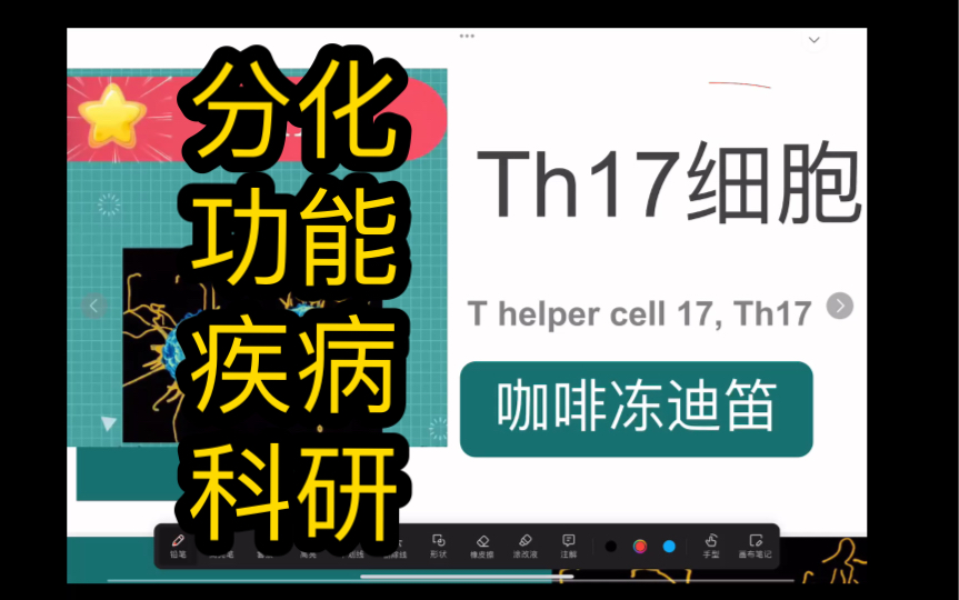 Th17细胞是什么?一个视频弄懂!【医学科研】哔哩哔哩bilibili