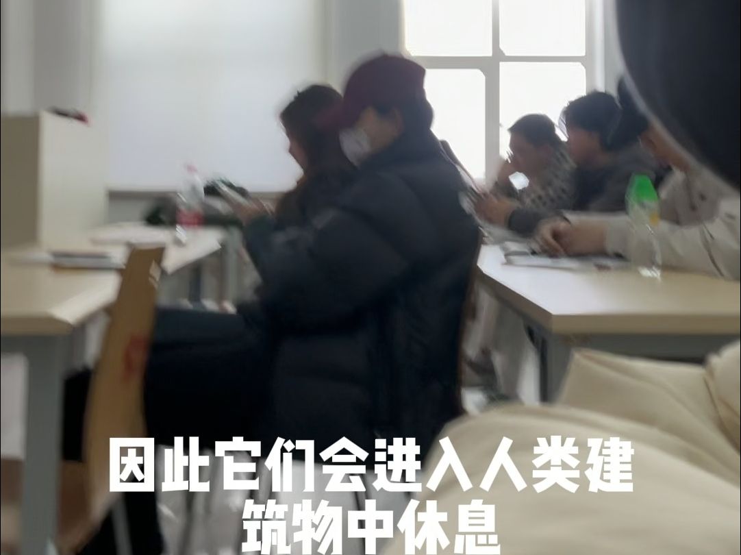 [图]谁家大学生开学了有那么大的戒断反应啊