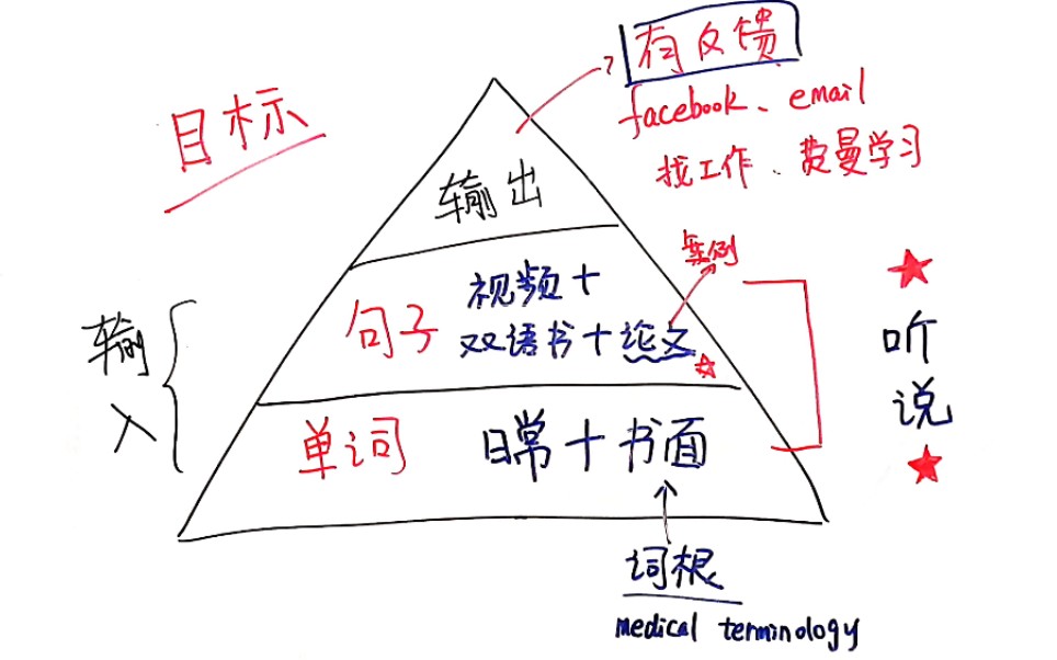 [金字塔模型]如何学习医学/兽医英语哔哩哔哩bilibili