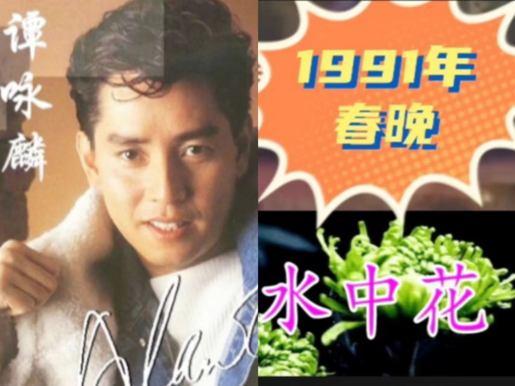 1991年谭咏麟春晚图片