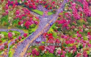 Download Video: 一分钟带你了解“地球彩带”——贵州百里杜鹃