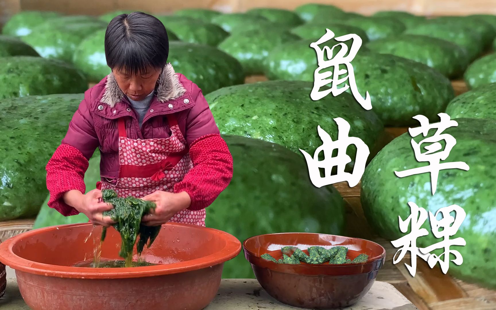 [图]田边鼠曲草茂盛，阿嬷阿公摘来打草粿，绿油油的草粿劲道味美！