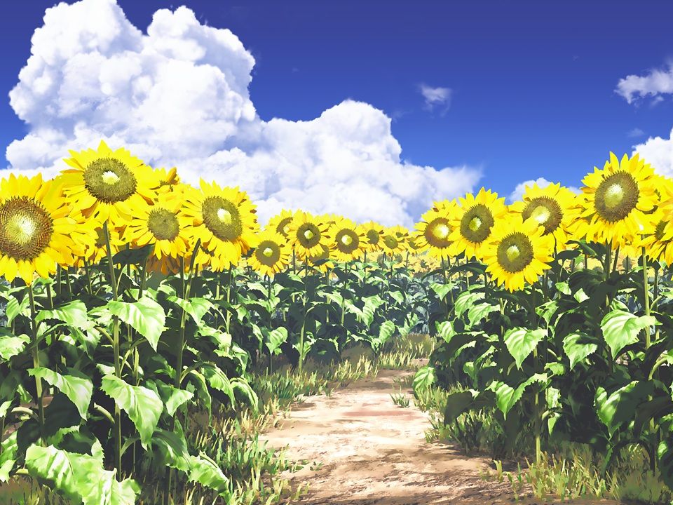 The Cranberries Just My Imagination 哔哩哔哩