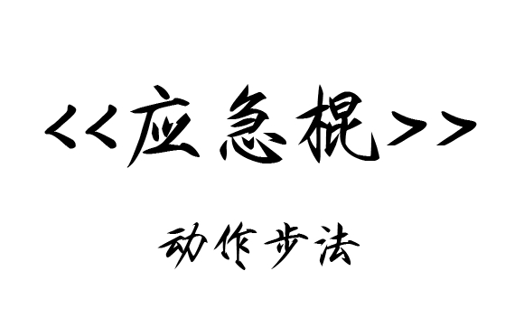 【每日一练】应急棍使用基本动作步法哔哩哔哩bilibili