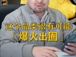 Descargar video: 这个品类很有可能火出圈