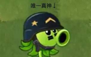 Download Video: PVZ2电子斗蛐蛐现状