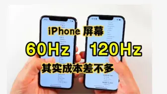 Descargar video: iPhone的60Hz和120Hz，成本几乎没区别，纯粹就是为了恶心人