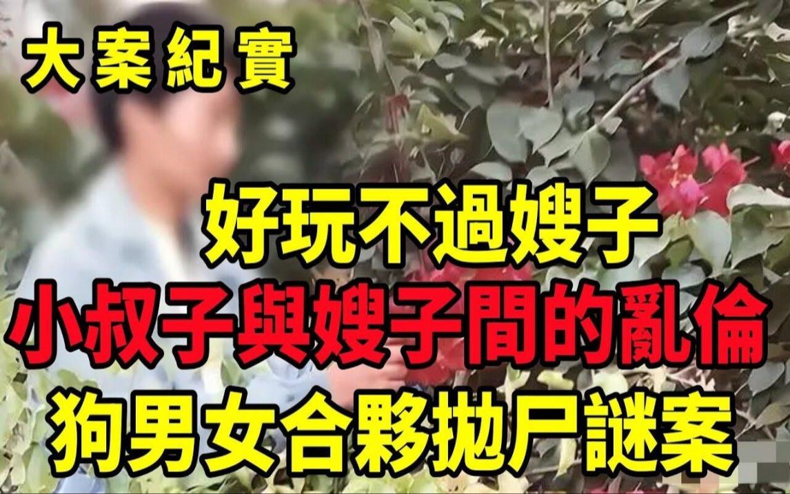 小叔子与嫂子乱伦最终导致家破人亡,大案纪实哔哩哔哩bilibili