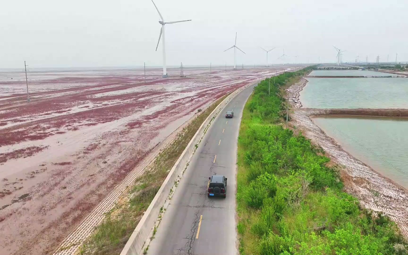 [图]航拍东营滨海大道，红海滩、风车和空旷道路组成一幅美丽风光画卷