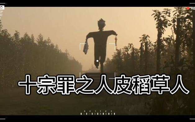 1000部案件之第15部(十宗罪之人皮稻草人)哔哩哔哩bilibili