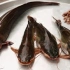 【街头美食】印尼街头美食  - Fried Catfish Pecel Lele 炸鲶鱼