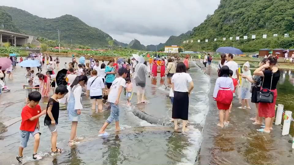 [图]十里荷塘（下）