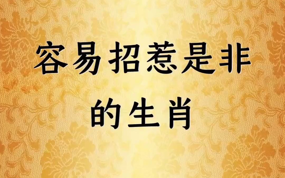 容易招惹是非的生肖哔哩哔哩bilibili