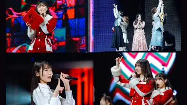 ひなくり/-哔哩哔哩_Bilibili