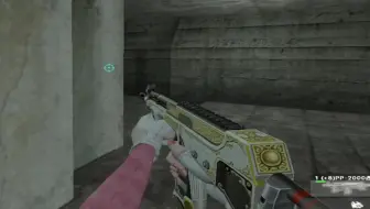 pp2000来一把