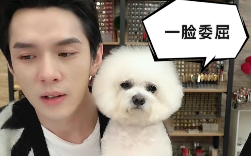 李佳琦斥责狗狗never:你这是怎么了这么委屈?