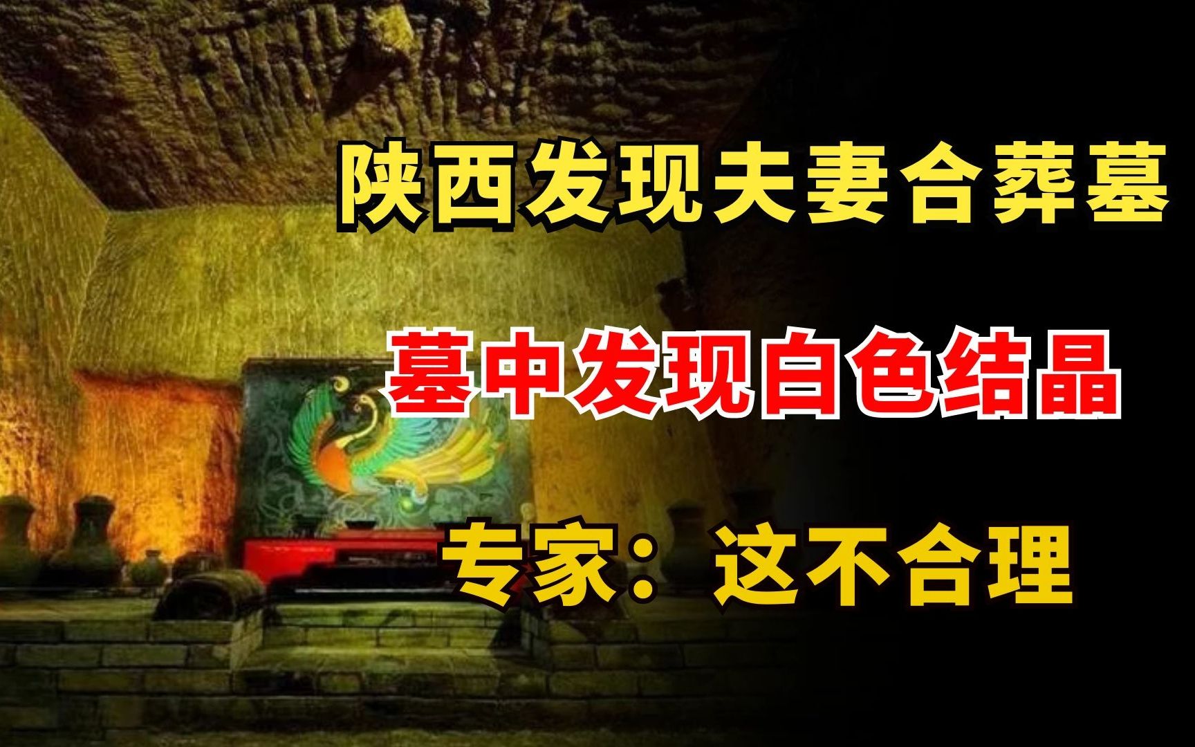 陕西发现夫妻合葬墓墓中发现白色结晶专家大呼这不合理