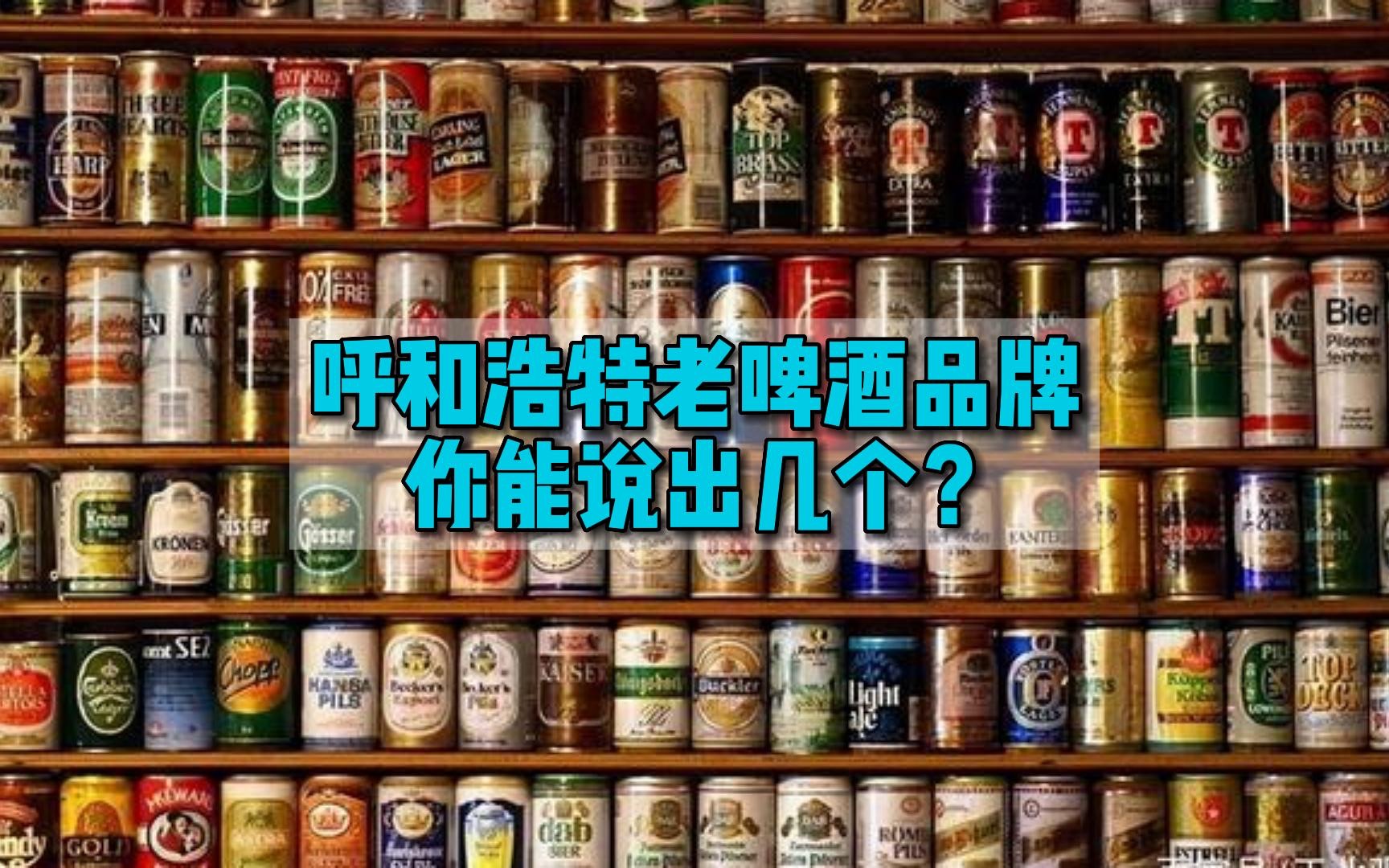 呼和浩特老啤酒品牌,你能说出几个?哔哩哔哩bilibili