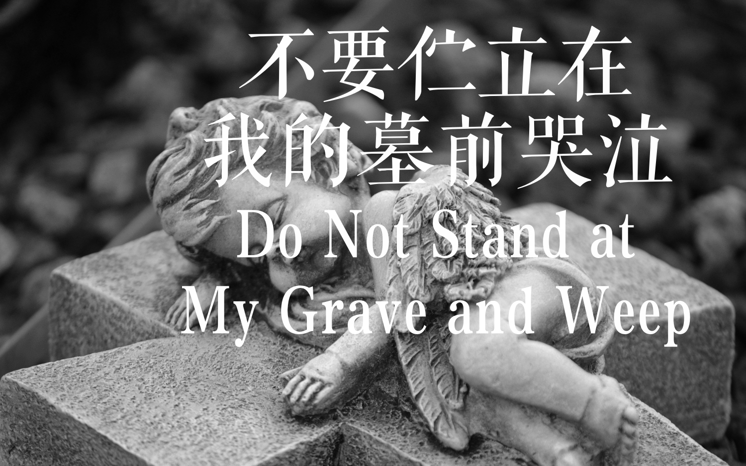 [图]英音朗诵 | Do Not Stand at My Grave and Weep（不要伫立在我的墓前哭泣）