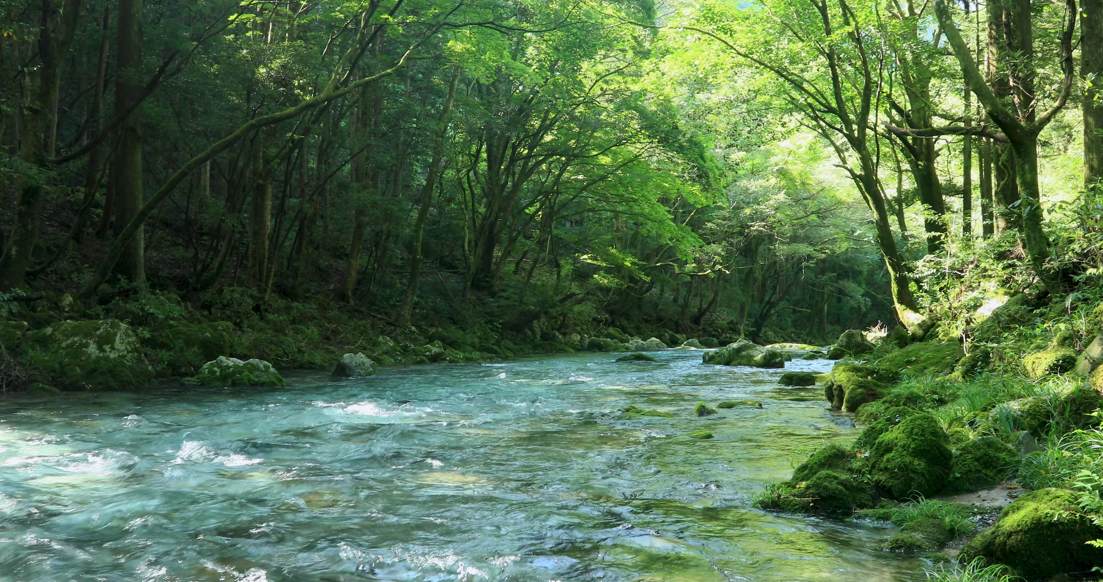 [图]山林深处小河流水悦耳环境音 30分钟【大自然的宝藏：白噪音+4K画面】 2160 x 3840