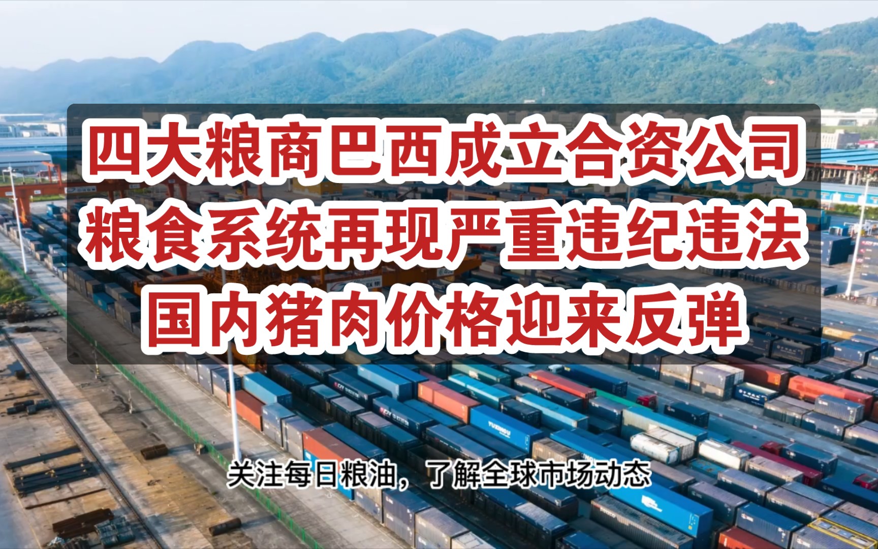 巴西要求拜耳归还总计2.5亿美元转基因专利费,四大粮商巴西成立合资公司;国内猪肉价格反弹,消息称转基因开展试点种植哔哩哔哩bilibili