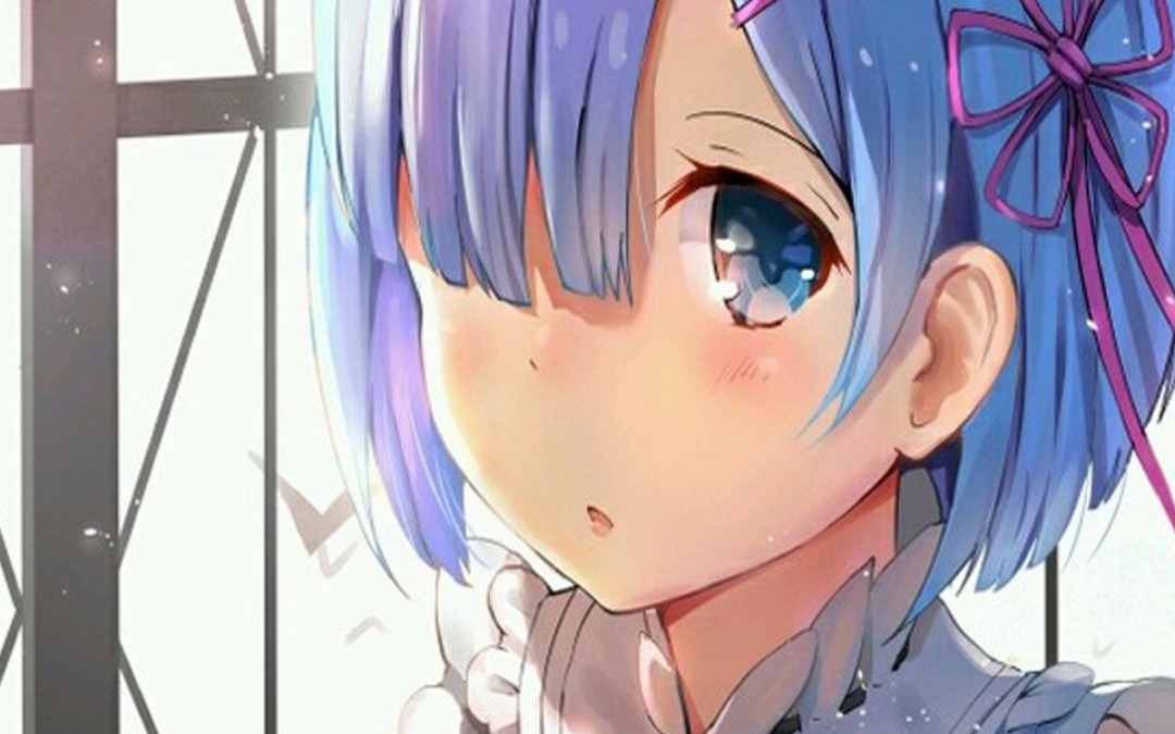 蕾姆花嫁手办开箱