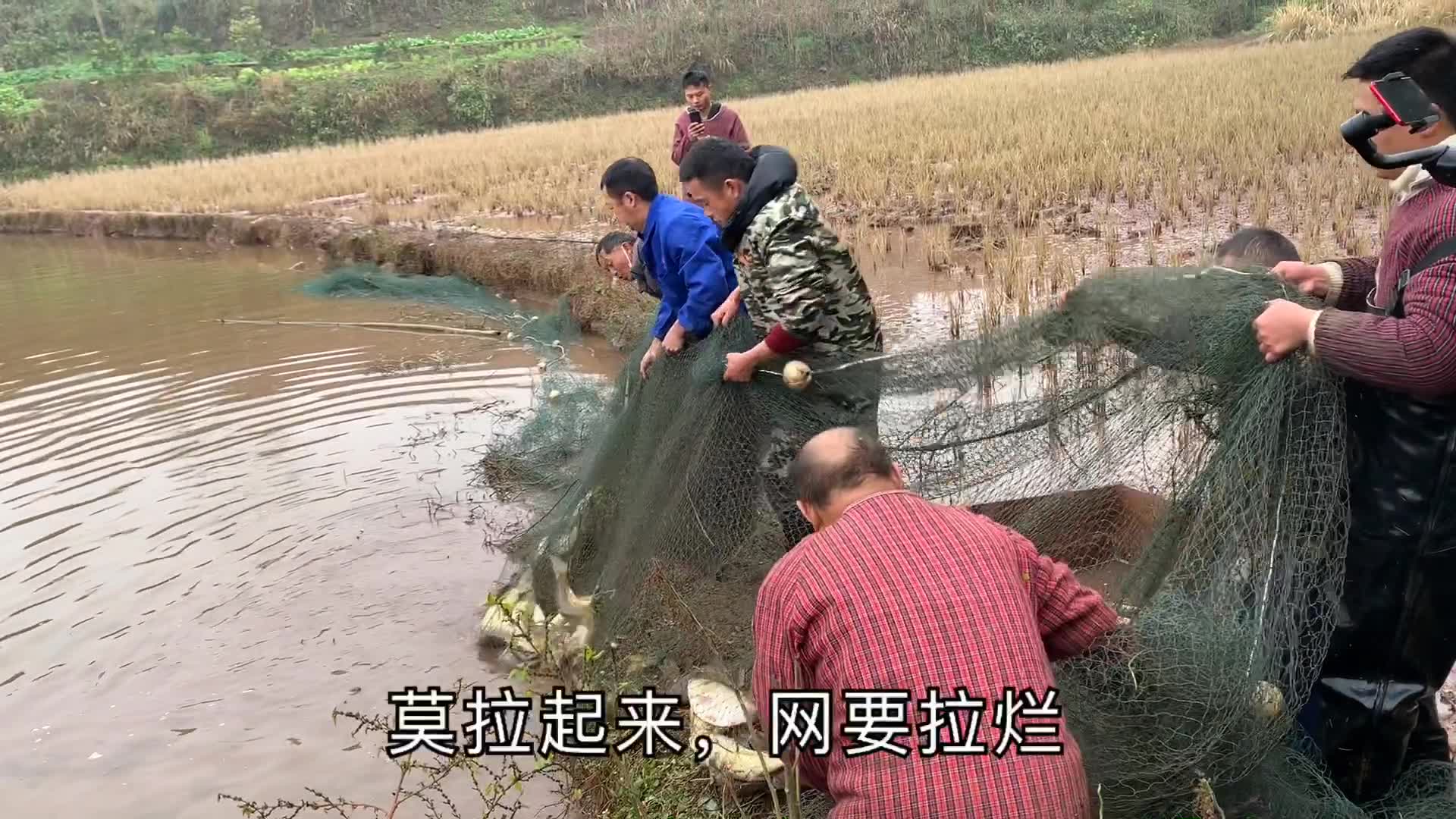 单身小妹的农村生活,7个大汉打鱼齐上阵,引来村民围观好热闹哔哩哔哩bilibili