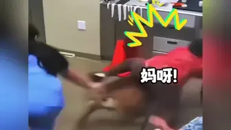 “猫狗打针名场面”