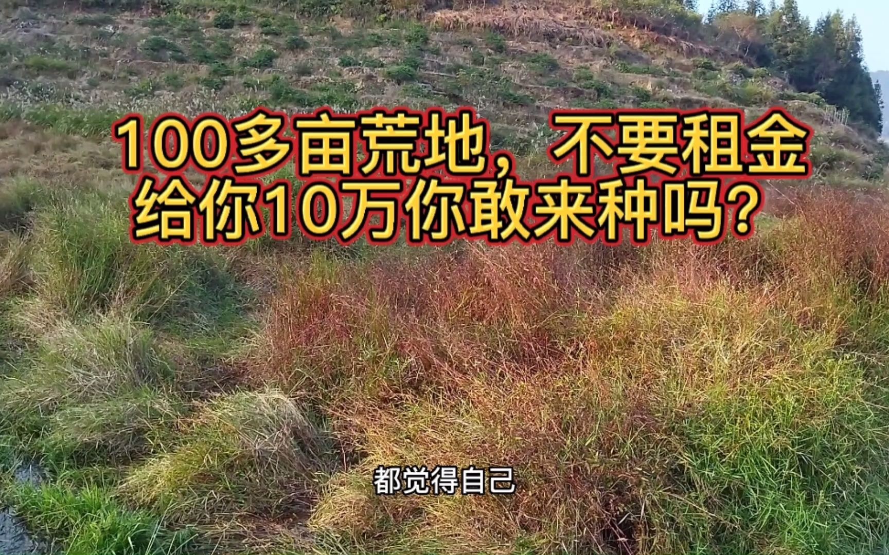 这100亩土地白送也没人敢要,什么原因,看完给你10万你敢来种吗哔哩哔哩bilibili