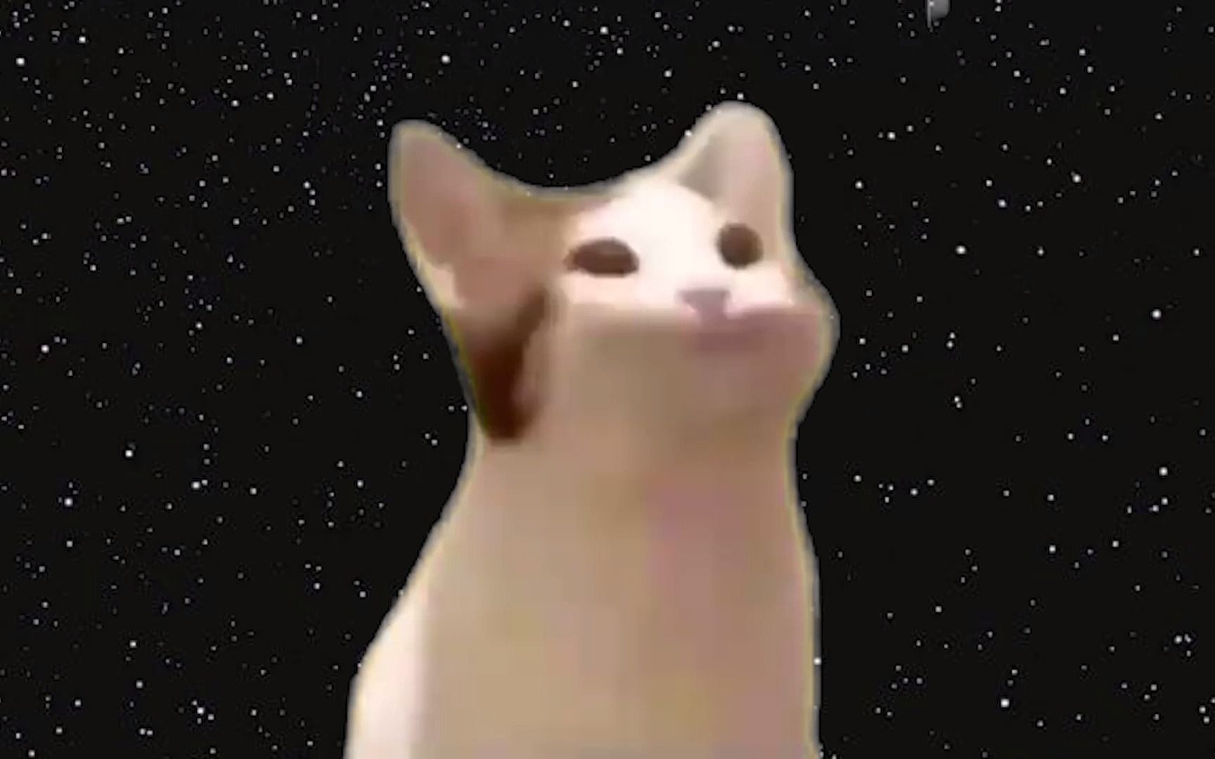 pop猫表情包-千图网