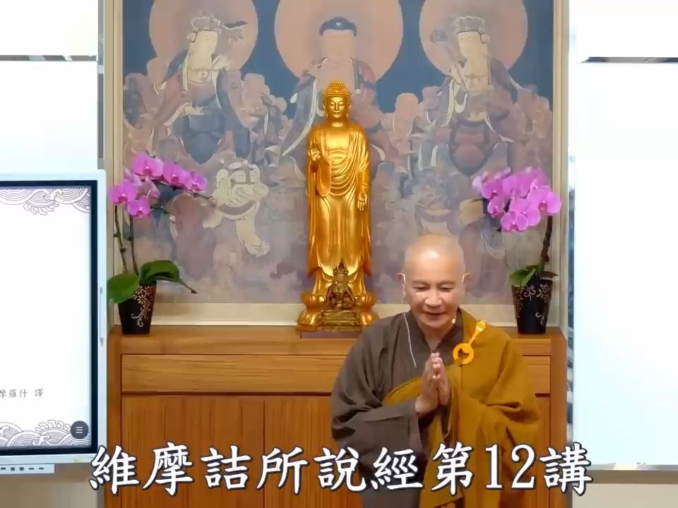 体佛法师 维摩诘所说经 12